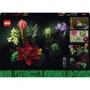 Конструктор LEGO Icons Сукуленти (10309): Серія Icons