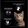 Влажный корм Pro Plan Kitten Nutrisavour для котят кусочки индейки в соусе 26х85г (7613036093453) фото 7