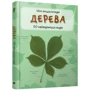 Дерево. Міні-енциклопедія