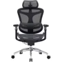Офисное кресло Sihoo DORO C300 Pro Mesh Black (DORO-C300-PRO-M101)