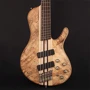 Бас-гитара CORT A5 Plus SCMS (Open Pore Natural) w/case