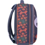 Рюкзак Bagland Turtle 17 л. сiрий 499 (0013466): Тип Для средней школы