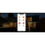 Yeelight Smart LED Filament Bulb ST64 (YLDP23YL): Колір світіння Теплый желтый
