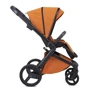 Коляска 2 в 1 Anex L/Type Ginger (LT-08): Количество блоков 2