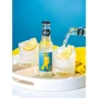 Напій газований Artisan Agave Lemon Tonic, 0.2л (9353606010180): Вид Тоник