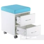 Детская тумбочка FunDesk SS15W Blue фото 3