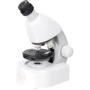 Микроскоп Discovery Micro Polar с книгой (77951)