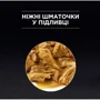 Влажный корм Pro Plan Delicate NutriSavour with Ocean fish in gravy с океанической рыбой для кошек 85г (7613287107664): Класс Супер премиум