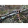 Сборная 3D модель Eugy Зоопарк: Сурикаты (XEG-046)