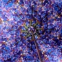 Женский зонт-трость Walking Sticks Purple Lavender фиолетовый (OM251V-WS48V): Фасон трость