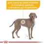 Сухой корм Royal Canin Dermacomfort Maxi Adult для собак с проблемной кожей 12 кг (24441209): Вес упаковки 12 кг