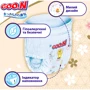Трусики-підгузки Goo.N Premium Soft для дітей 7-12 kg розмір 3(M) унісекс 100 шт. (F1010101-156-2): Кількість в упаковці, шт 100
