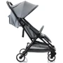 Коляска прогулочная Babyhit Colibri Ash Grey: Тип коляски Прогулочная