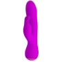 Вибромассажер с клиторальным стимулятором PrettyLove Broderick, BI-014644
