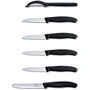 Набор кухонных ножей Victorinox SwissClassic Paring Set 6 пр. (6.7113.6G): Наименование Набор ножей 6 пр.