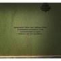Тюлин Козикоглу: Ленивая рыбка Ленни: Производитель Альпина Паблишер
