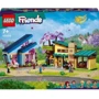 Конструктор LEGO Friends Семейные дома Олли и Пэйсли (42620)