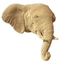 Картонный настенный конструктор Cartonic 3D Puzzle ELEPHANT