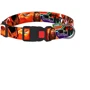 Нашийник HiDog Safari XS 10 мм 18-28 см різнокольоровий (101\1016)