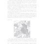 Эрик Эванс : Предметно-ориентированное проектирование (DDD): структуризация сложных программных систем: Обложка Мягкая