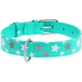 Ошейник WAUDOG Glamour с узором "Звездочка" 20 мм 30-39 см ментоловый (358613): Производитель WAUDOG
