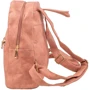 Женский рюкзак Valiria Fashion розовый (3DETBI221812-13): Тип Рюкзаки
