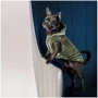 Жилет для собак Pet Fashion LOUIS S (4823082427512): Размер животного Маленькие