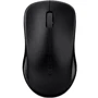 Мышь RAPOO 1620 Wireless Optical Mouse