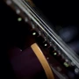 Электрогитара CORT G300 PRO (Vivid Burgundy): Материал корпуса Американская липа с топом из клена