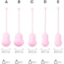 Набор вагинальных шариков Flovetta By Toyfa Tulips Pink