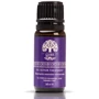 Стайлер GA.MA Argan STARLIGHT LASER ION Gl0101: Назначение Бытовой