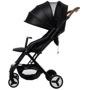Прогулочная коляска Osann Flame Reptile Black: Пол ребенка Унисекс