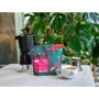 Кофе в зернах ароматизированный Teahouse Тирамису (Cagliari) 250 г (20066-1): Вид напитка кофе в зернах