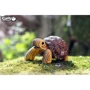 Сборная 3D модель Eugy Зоопарк Черепаха (XEG-104)