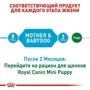 Сухой корм для собак в период беременности Royal Canin Mini Starter и щенков мелких пород 3 кг (2990030): Класс Супер премиум
