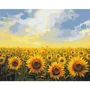 Картина по номерам Brushme Поле подсолнухов 40x50 (BS135)