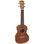 Укулеле FZONE FZU110M Wood