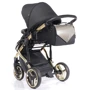 Универсальная коляска 2 в 1 Junama Diamond Onyx 03 (J-O-03): Тип коляски Универсальная коляска (2-в-1)