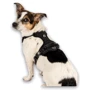 Шлея Max & Molly Smart ID Sport Harness Matrix 2.0 Black M 48-65 см черная (4255636809213) фото 6