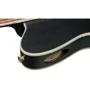 Гітара класична IBANEZ TOD10N-BKF фото 7