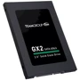 TEAM GX2 1 TB (T253X2001T0C101)