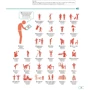 Italian-English. Illustrated Dictionary: ISBN 9780241601501