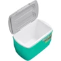 Ізотермічний контейнер Pinnacle Eskimo 34.5 л (0682622060091TURQUOISE): Тип ізотермічний контейнер