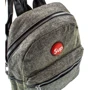 Женский рюкзак Valiria Fashion серебристый (4DETBI90012-9): Тип Рюкзаки