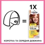 Palette PGC 7-554 Краска для волос Карамельный блонд с аргановым маслом 70 ml: Тип волос Все типы