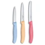 Набор кухонных ножей Victorinox SwissClassic Paring Set 3 пр. (6.7116.34L1): Наименование Набор кухонных ножей 3 пр.