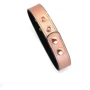 Ошейник с зажимами для сосков Liebe Seele Rose Gold Memory Collar with Nipple Clamps