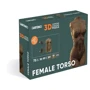 Картонный конструктор Cartonic 3D Puzzle FEMALE TORSO
