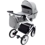 Универсальная коляска 2 в 1 Bair Kiwi White ECO BKW-15 серый (680740): Количество блоков 2