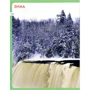 Пори року. Моя перша книжка: Обложка Картон